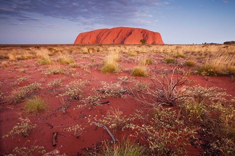 Framed Australia, Uluru-Kata Tjuta NP, Outback, Ayers Rock Print