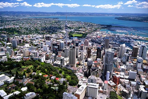 Framed Auckland skyline, New Zealand Print