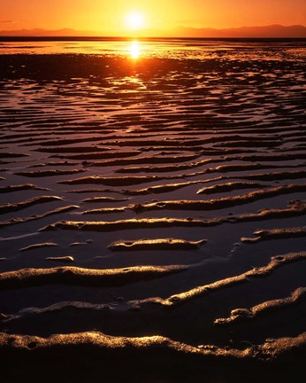Framed Coast at sunset, Abel Tasman National Park, New Zealand Print