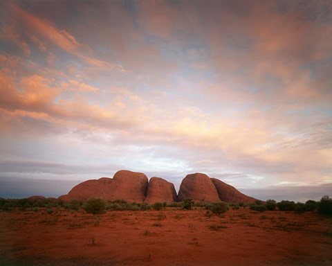 Framed Olgas, Uluru-Kata Tjuta NP, Northern Territory, Australia Print