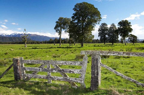 Framed Gate and Farmland near Fox Glacier, West Coast, South Island, New Zealand Print