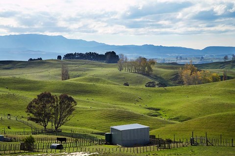 Framed Farmland, Napier, Taihape Road, Hawkes Bay, North Island, New Zealand Print