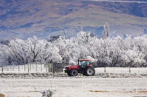 Framed Tractor and Hoar Frost, Sutton, Otago, South Island, New Zealand Print