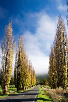 Framed Autumn Colour and Wanganui, Raetihi Road, near Wanganui, North Island, New Zealand Print