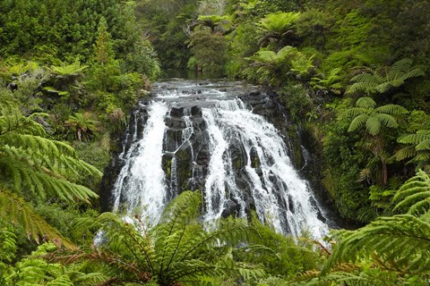 Framed Owharoa Falls, Karangahake Gorge, Waikato, North Island, New Zealand Print