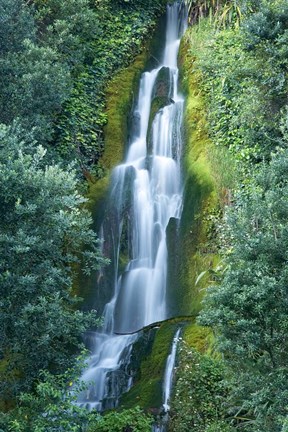 Framed Waterfall, Centennial Gardens, Napier, Hawkes Bay, North Island, New Zealand Print