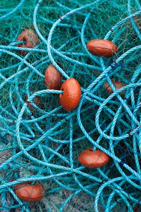 Framed Dominica, Anse de Mai, fishing net Print