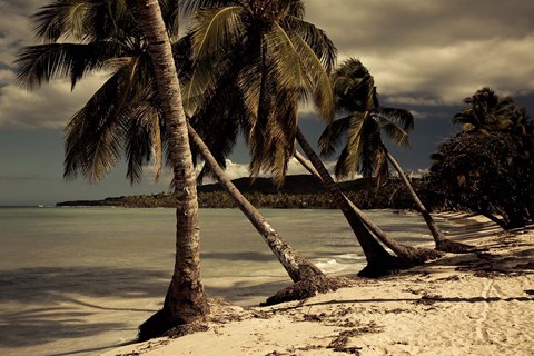 Framed Playa Rincon beach, Las Galeras, Samana Peninsula, Dominican Republic Print