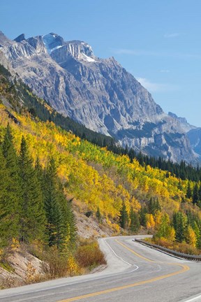 Framed Canada, Alberta, Jasper NP Scenic of The Icefields Parkway Print