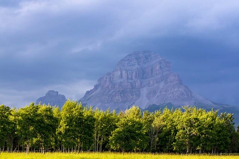 Framed Crowsnest Mountain at Crownest Pass in Alberta, Canada Print