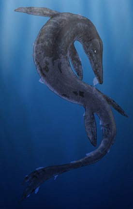 Framed Tylosaurus, a Giant Marine Squamata Shedding its Skin Print
