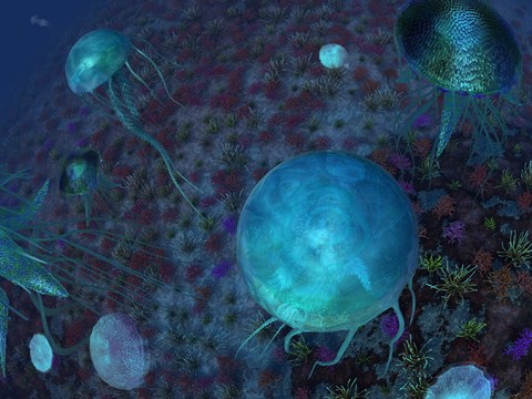 Framed Swarm of Jellyfish Swim the Panthalassic Ocean Print