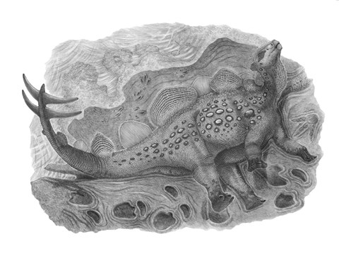 Framed Pencil Drawing of Hesperosaurus Mjosi Print