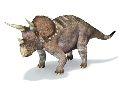 Framed 3D Rendering of a Triceratops Dinosaur Print