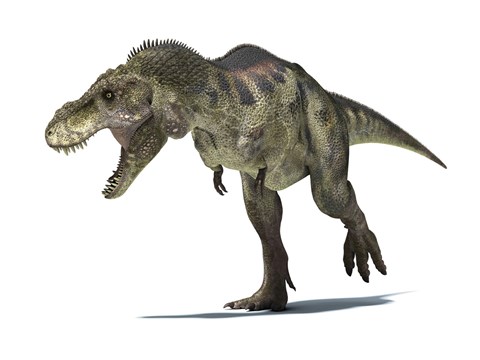 Framed 3D Rendering of a Tyrannosaurus Rex Dinosaur Print