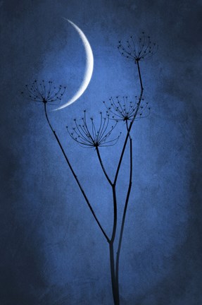 Framed Blue Crescent Moon Print