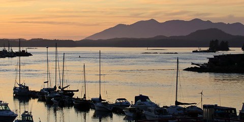 Framed Sunset at Tofino, Harbor, Vancouver Island, British Columbia Print