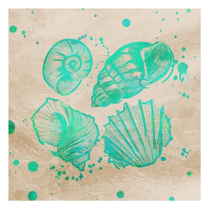 Framed Splat Shells on Sand II Print