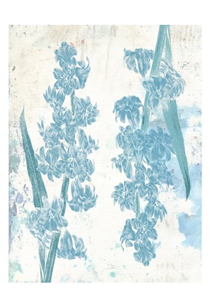 Framed Floral Blues Print