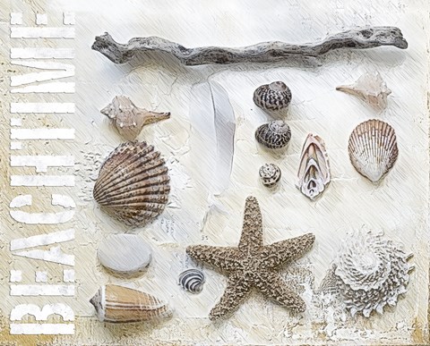 Framed Sea Shell Collage I Print
