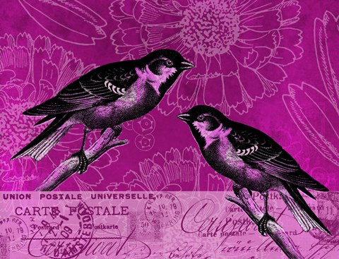 Framed Vintage Pink Birds Print