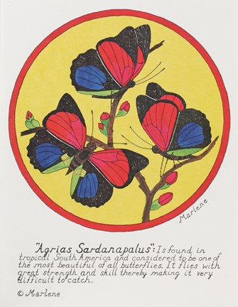 Framed Agrias Sardanaplaus Print