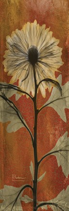 Framed Chrysanthemum Orange I Print