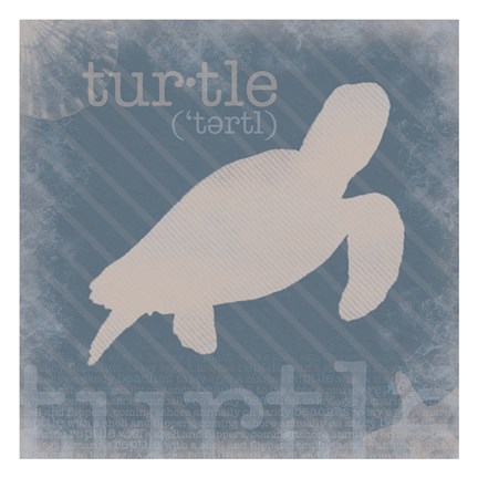 Framed Turtle Definition Print