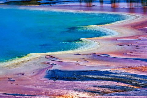 Framed Pattern in Bacterial Mat, Midway Geyser Basin, Yellowstone National Park, Wyoming Print