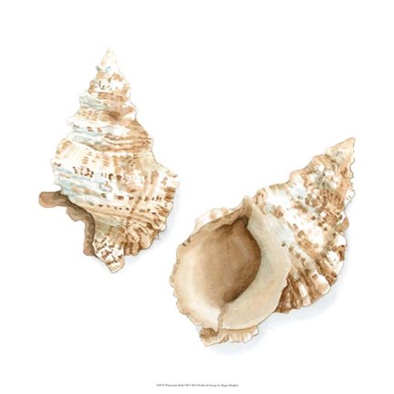 Framed Watercolor Shells VII Print