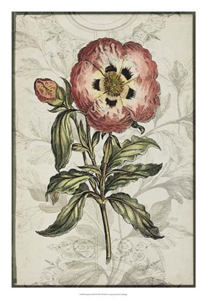Framed Keepsake Floral II Print