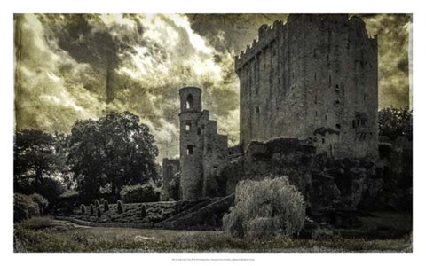 Framed Irish Castle Views III Print