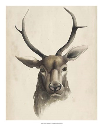Framed Watercolor Animal Study I Print