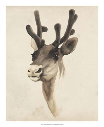 Framed Watercolor Animal Study III Print