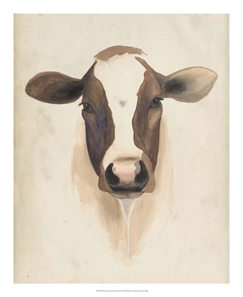 Framed Watercolor Animal Study VII Print