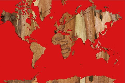 Framed Wood Bark World Map 1 Print