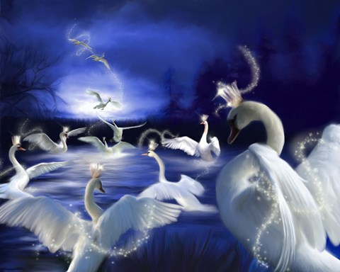 Framed Wild Swans Print