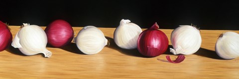 Framed Parade of Onions Print