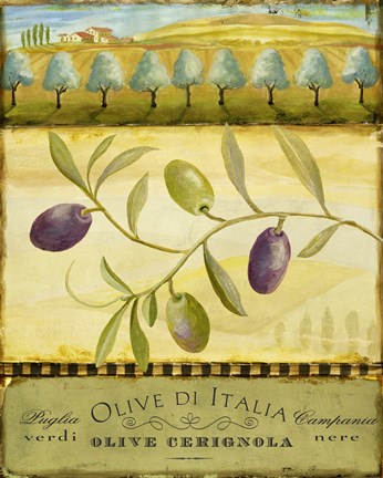 Framed Olive Grove Puglia Print