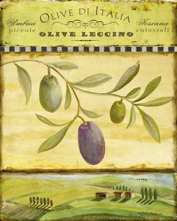Framed Olive Grove Tuscana Print