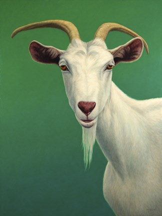 Framed Portrait of A Goat Print