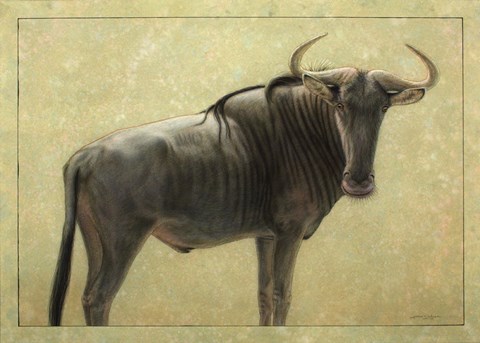 Framed Wildebeest Print