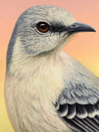 Framed Mocking Bird Print