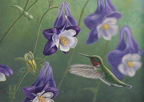 Framed Hummingbird Purple - Columbine Print