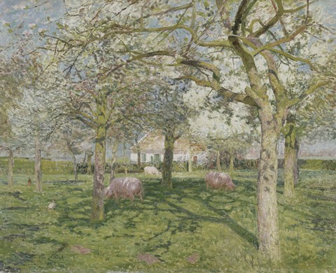 Framed Orchard in Springtime 1902 Print