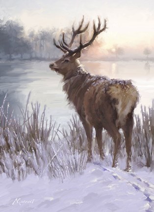 Framed Winter Deer Print