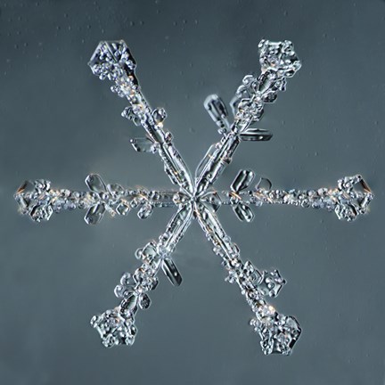 Framed Stellar Dendrite Snowflake 004.2.14.2014 Print