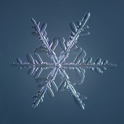Framed Stellar Dendrite Snowflake 005.2.16.2014 Print