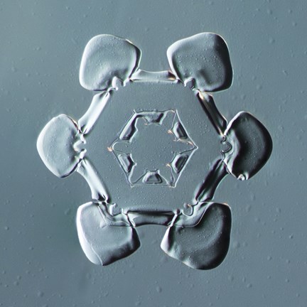 Framed Stellar Plate Snowflake 001.2.14.2014 Print