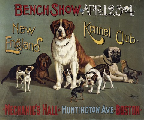 Framed Bench Show. New England Kennel Club Print